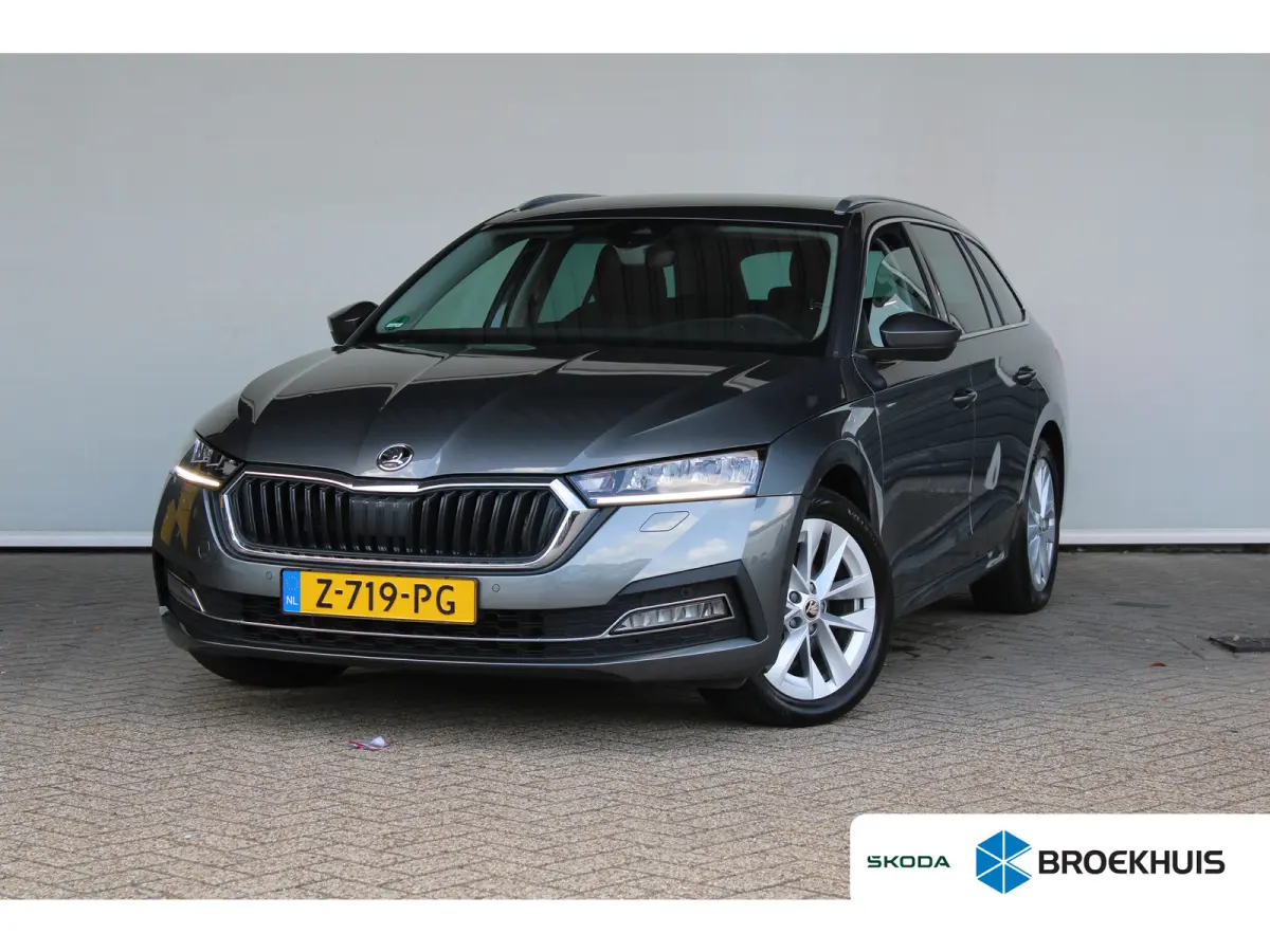 1.0 e-TSI Business Edition Plus | Trekhaak wegklapbaar | Dode-hoekdetectie | Elektrische achterklep | ACC |