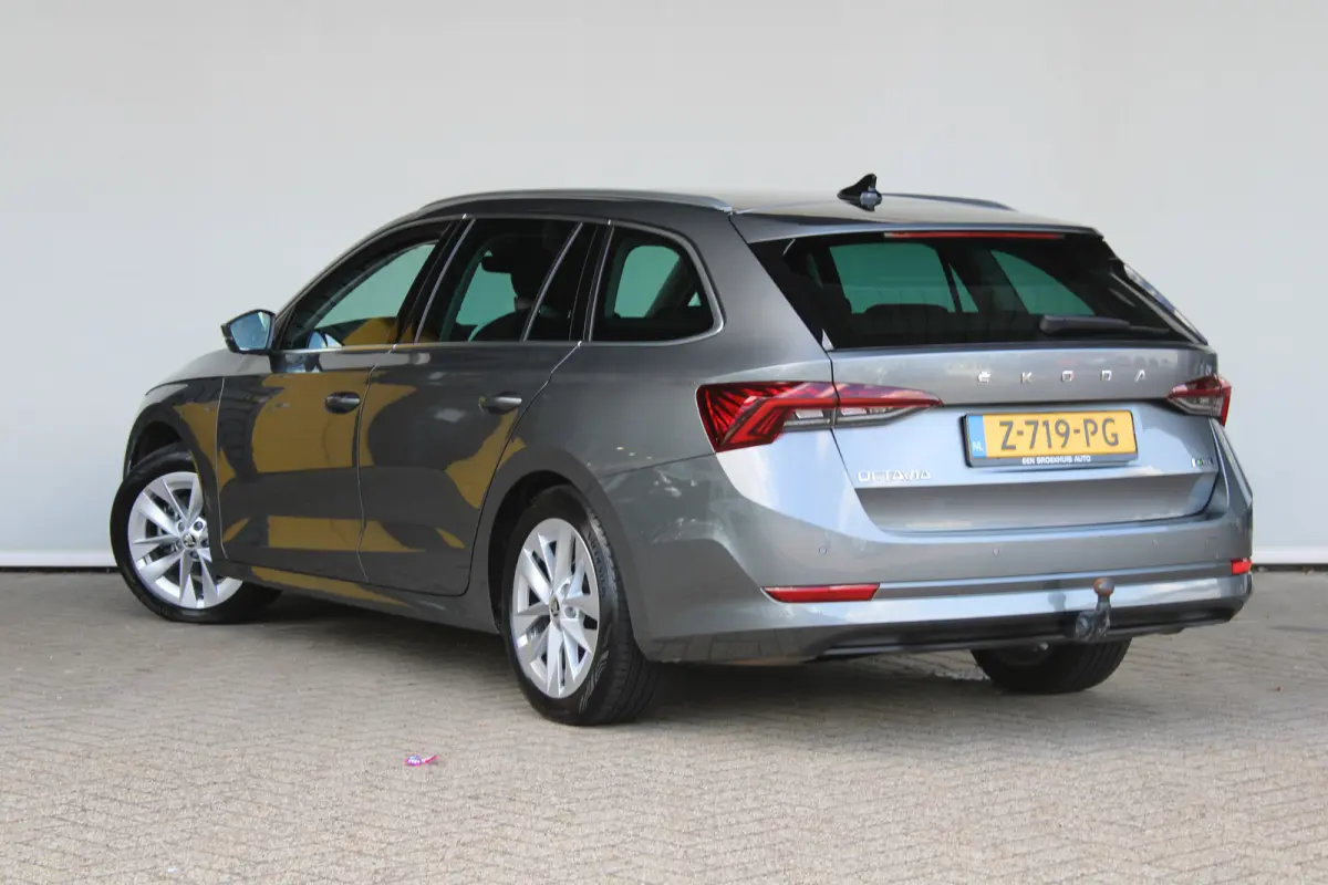 1.0 e-TSI Business Edition Plus | Trekhaak wegklapbaar | Dode-hoekdetectie | Elektrische achterklep | ACC |