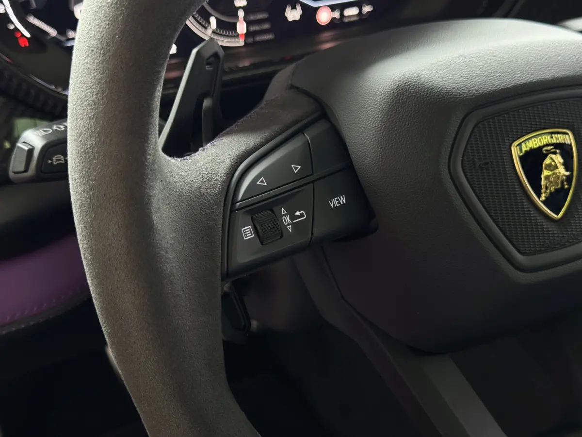 4.0 V8 800 PK ALLE OPTIES/CARBON /AD PERSONAM/ VIOLA MITHRAS/ PANO / MASSAGE phev . Viola Mithras