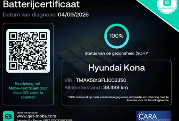 EV Limited 64 kWh 100% SOH LEDER MEMORY