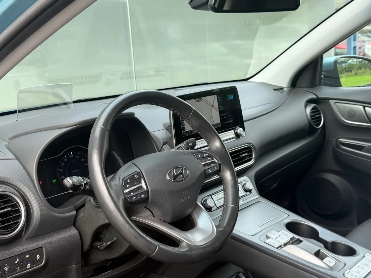 EV Limited 64 kWh 100% SOH LEDER MEMORY