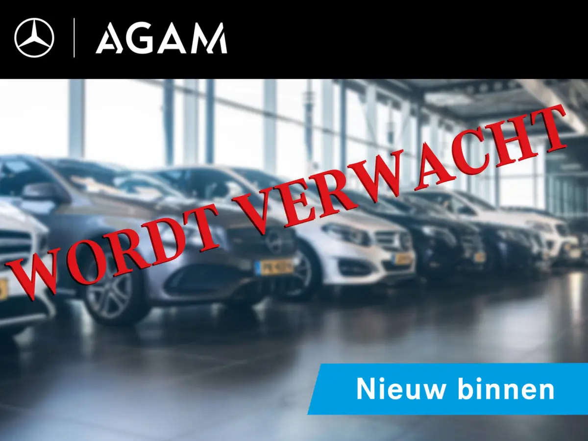 300 4MATIC AMG Line | Panorama dak | Trekhaak