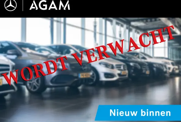 300 4MATIC AMG Line | Panorama dak | Trekhaak