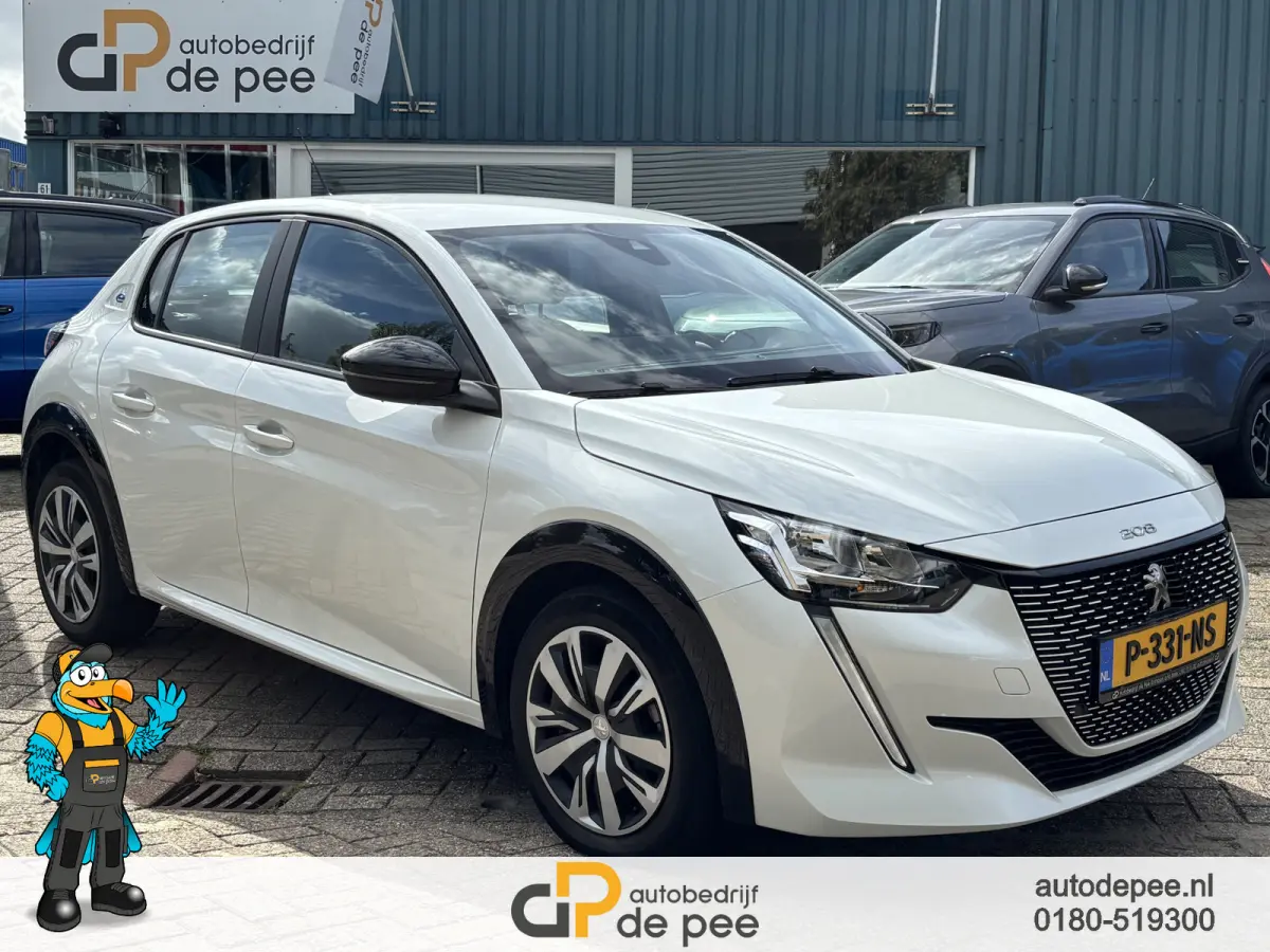 EV Active 50 kWh GARANTIE/CRUISE/CLIMA/CARPLAY/EL.RAMEN/CV+AB rijklaarprijs!