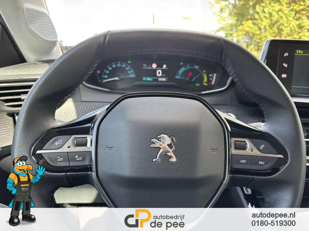 EV Active 50 kWh GARANTIE/CRUISE/CLIMA/CARPLAY/EL.RAMEN/CV+AB rijklaarprijs!