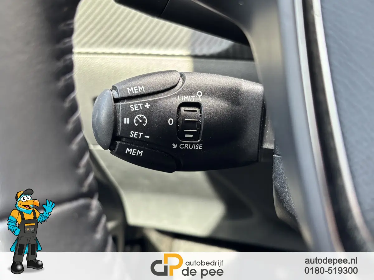 EV Active 50 kWh GARANTIE/CRUISE/CLIMA/CARPLAY/EL.RAMEN/CV+AB rijklaarprijs!