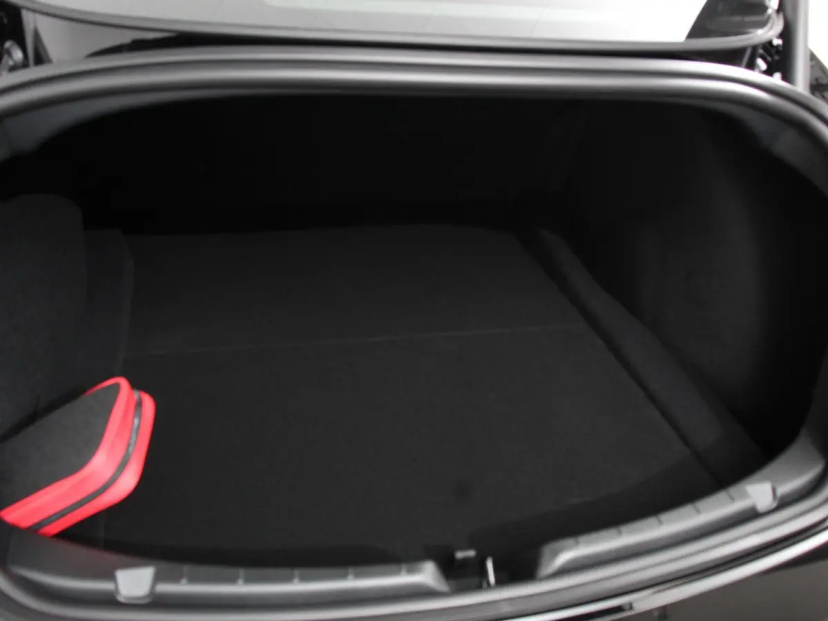 RWD 60 kWh 534KM LFP Autopilot Panorama Warmtepomp Stoel/Stuurverwarming Full LED PDC VA+ Camera