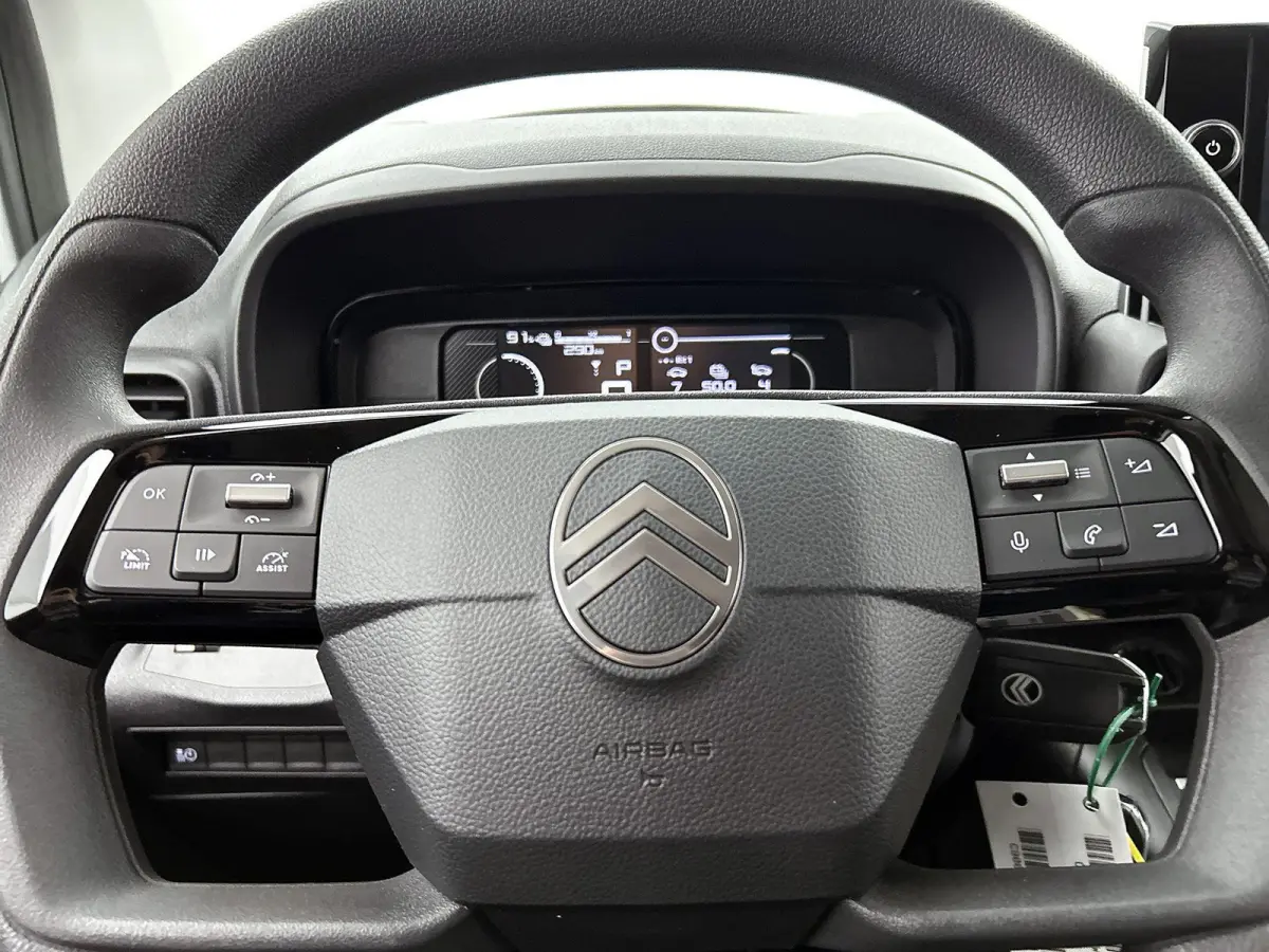 136 L1 50 kWh | Climate Control | Accu 99% | Apple Carplay/Android Auto | Achteruitrijcamera | Led Koplampen |