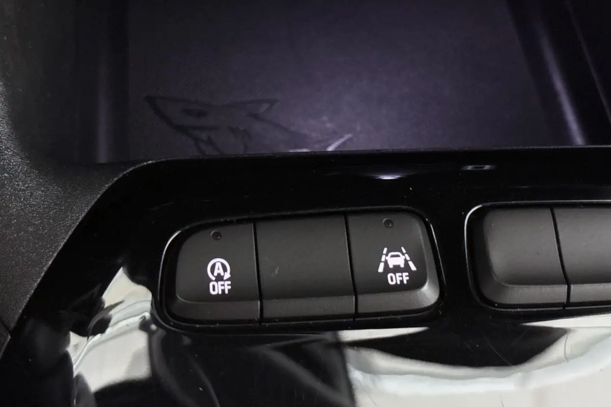 1.2 Turbo Hybrid GS NL Auto Apple CarPlay Achteruitrijcamera
