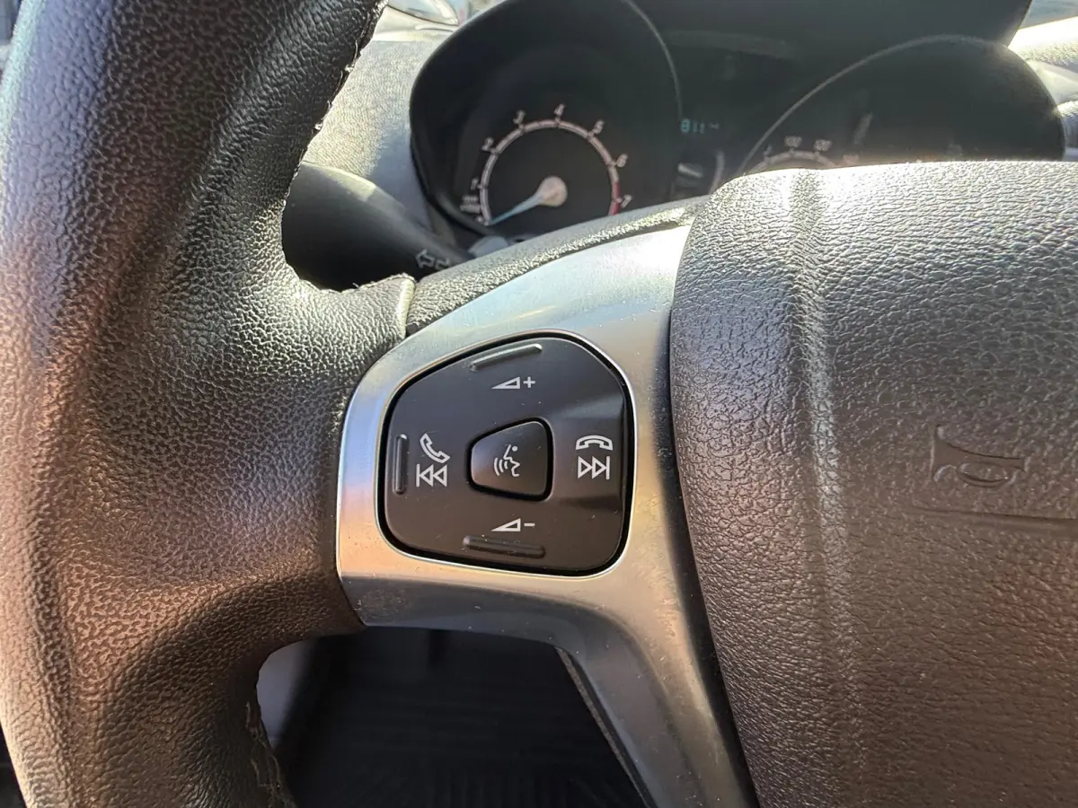 1.0 Limited EcoBoost S&S, Apple Carplay/Android,Navigatie,trekhaak,L.M.Velgen