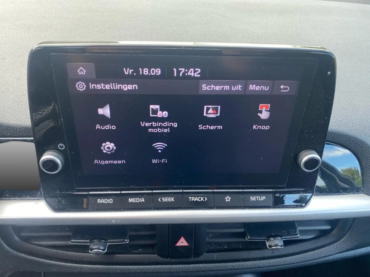 1.0 DPi DynamicLine | Airco | Parkeercamera | 15 inch LM-velgen | AppleCarPlay Android auto | Bluetooth | Cruise control |