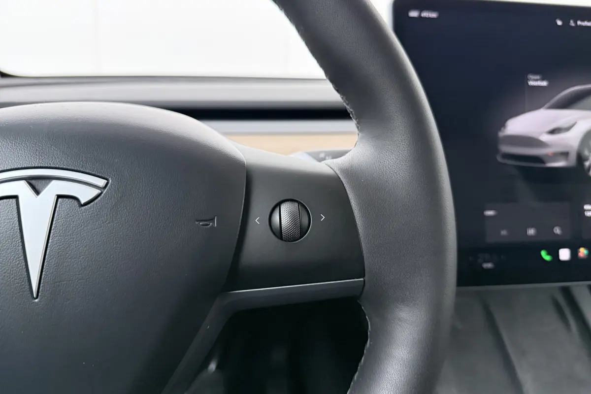 Long Range AWD 75 kWh (SOH 91%) Autopilot Stoelverw.V+A Pano-dak