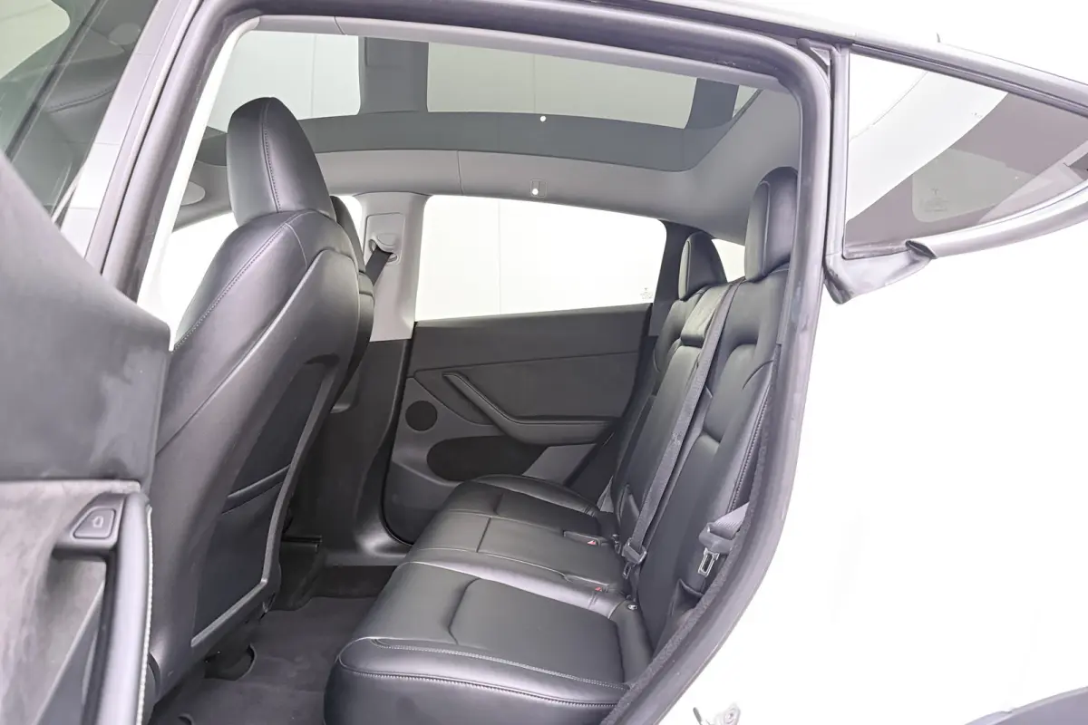 Long Range AWD 75 kWh (SOH 91%) Autopilot Stoelverw.V+A Pano-dak
