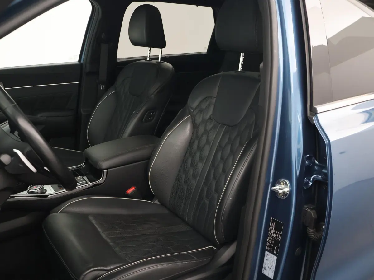 1.6 T-GDI 265 PK EXECUTIVELINE PHEV 7-PERS 4WD + BOSE | PANORAMA | AFN. TREKHAAK | HEAD-UP | STOELVENTILATIE | STOELVERW. V+A