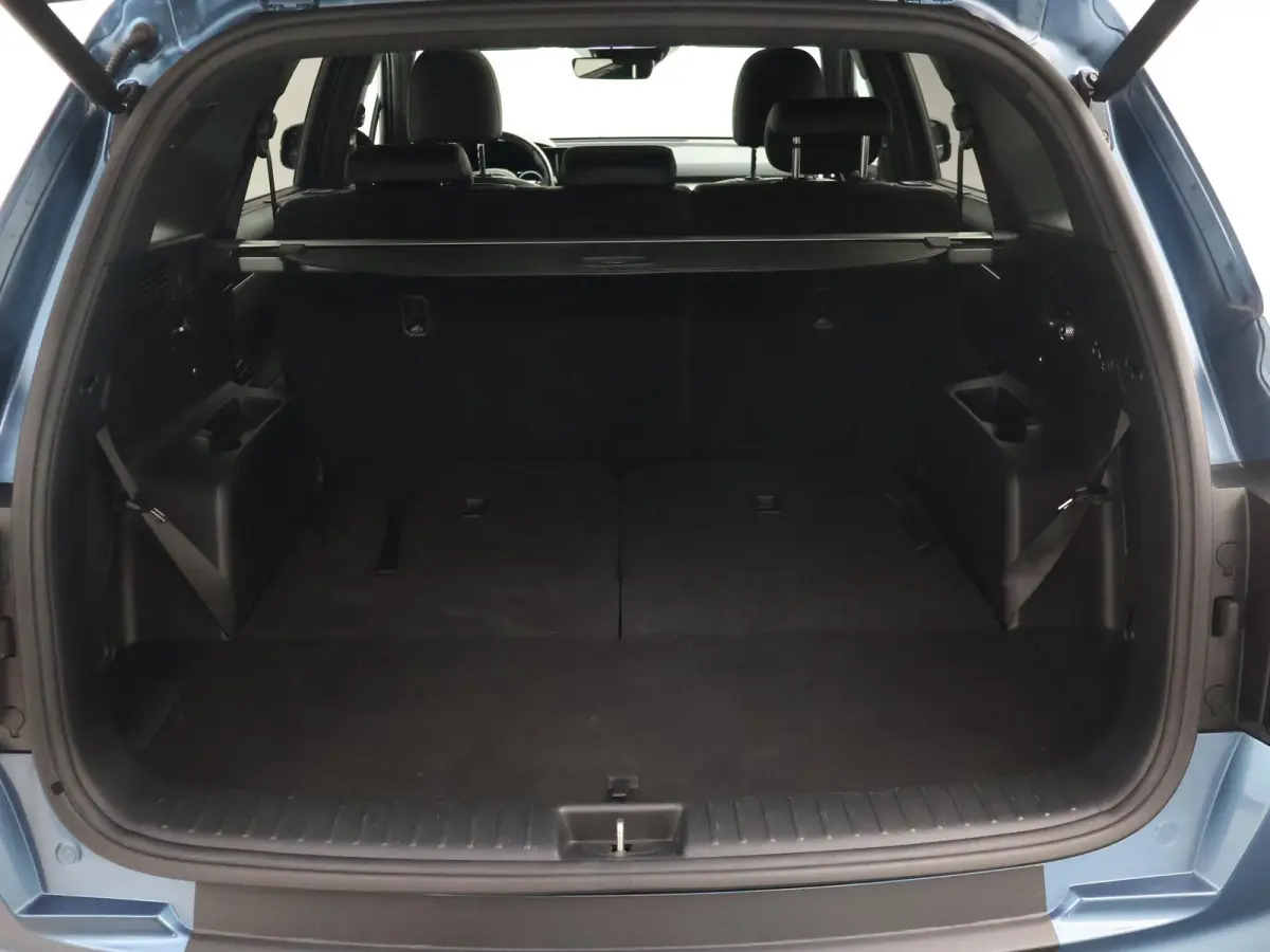 1.6 T-GDI 265 PK EXECUTIVELINE PHEV 7-PERS 4WD + BOSE | PANORAMA | AFN. TREKHAAK | HEAD-UP | STOELVENTILATIE | STOELVERW. V+A