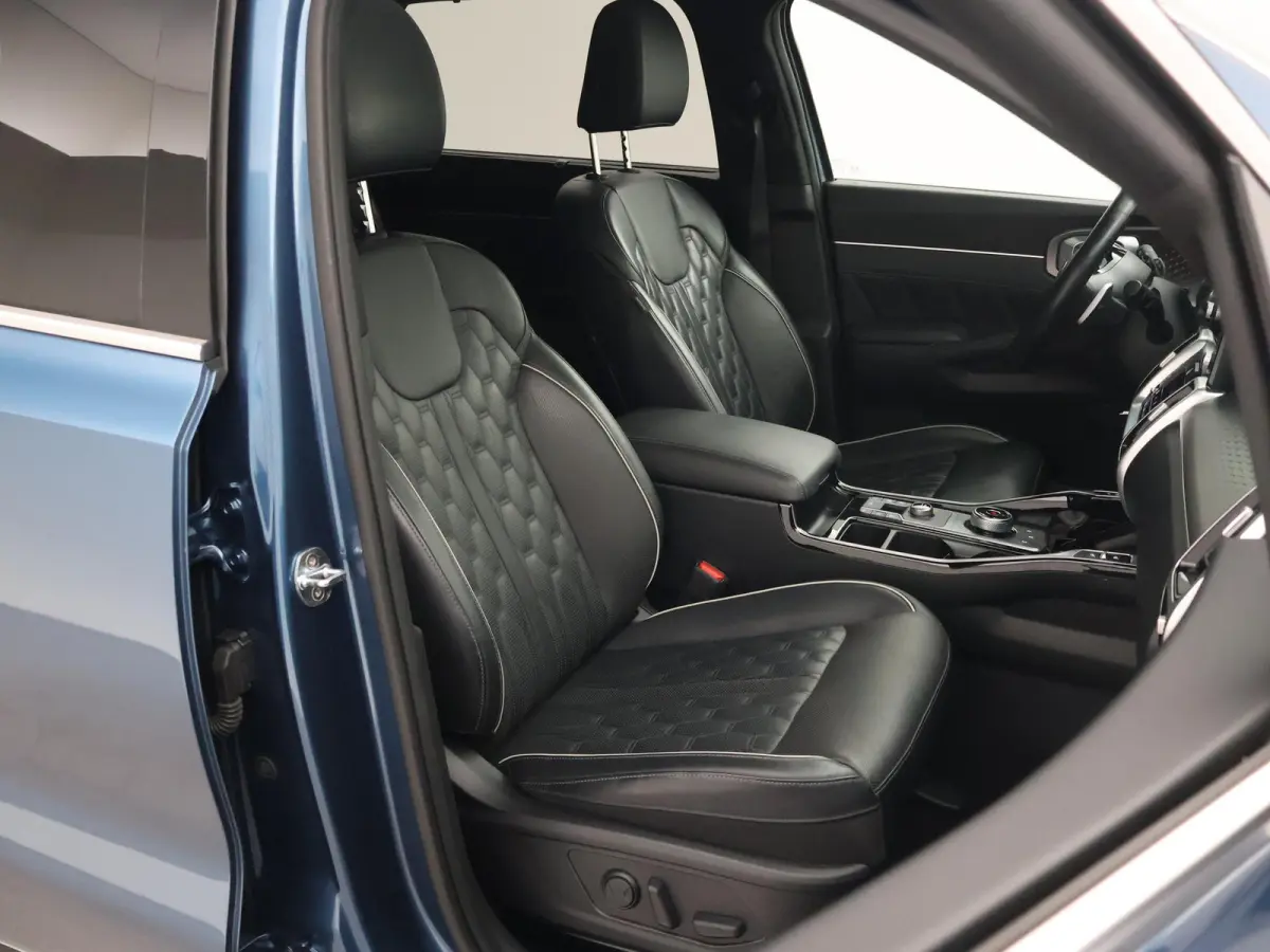 1.6 T-GDI 265 PK EXECUTIVELINE PHEV 7-PERS 4WD + BOSE | PANORAMA | AFN. TREKHAAK | HEAD-UP | STOELVENTILATIE | STOELVERW. V+A
