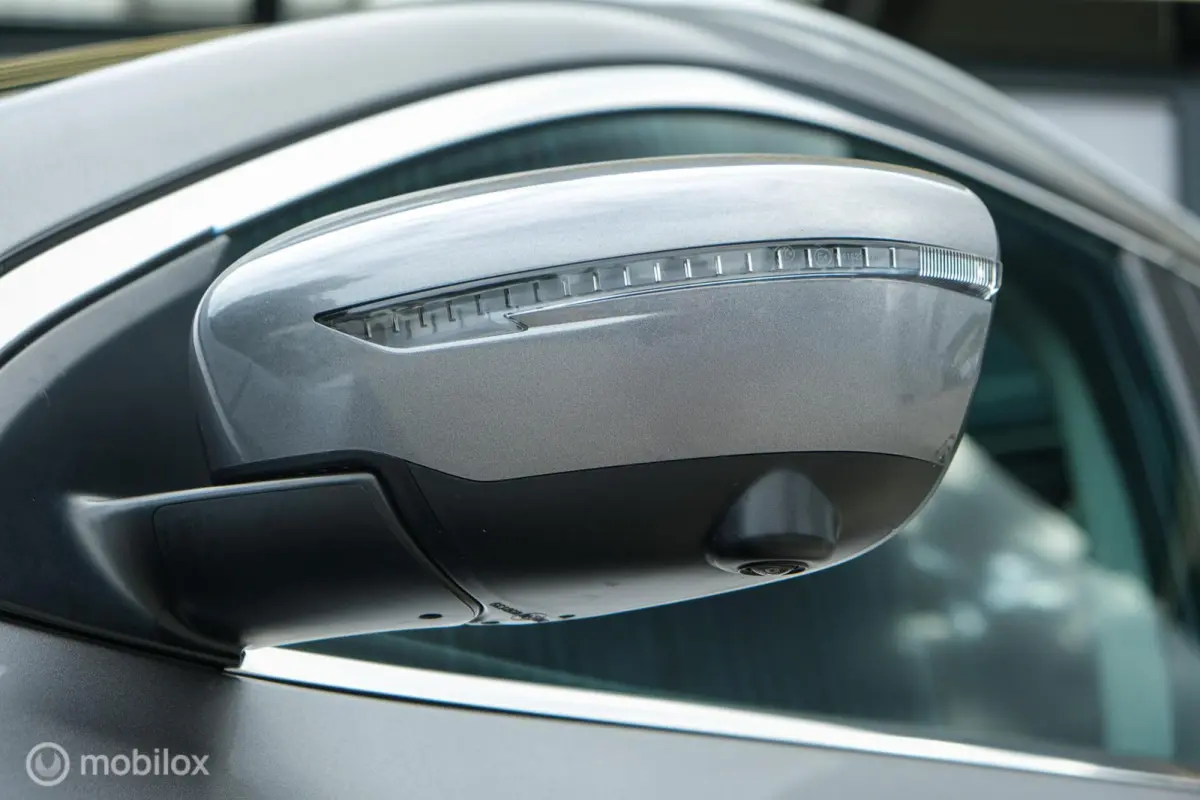1.2 Acenta | Pano | Cruise | LED | Lane Assist | 360 Camera | Dealer onderhouden | Zeer netjes | Rijklaar | Keyless