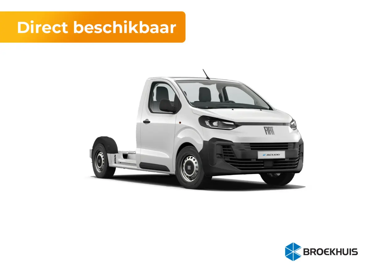 Professional Standaard | ABS met noodremassistentie / ESP en Hill Start Assist | Automatisch inschakelende verlichting en ruitenwissers | Cruise control met snelheidsbegrenzer (bediening ach