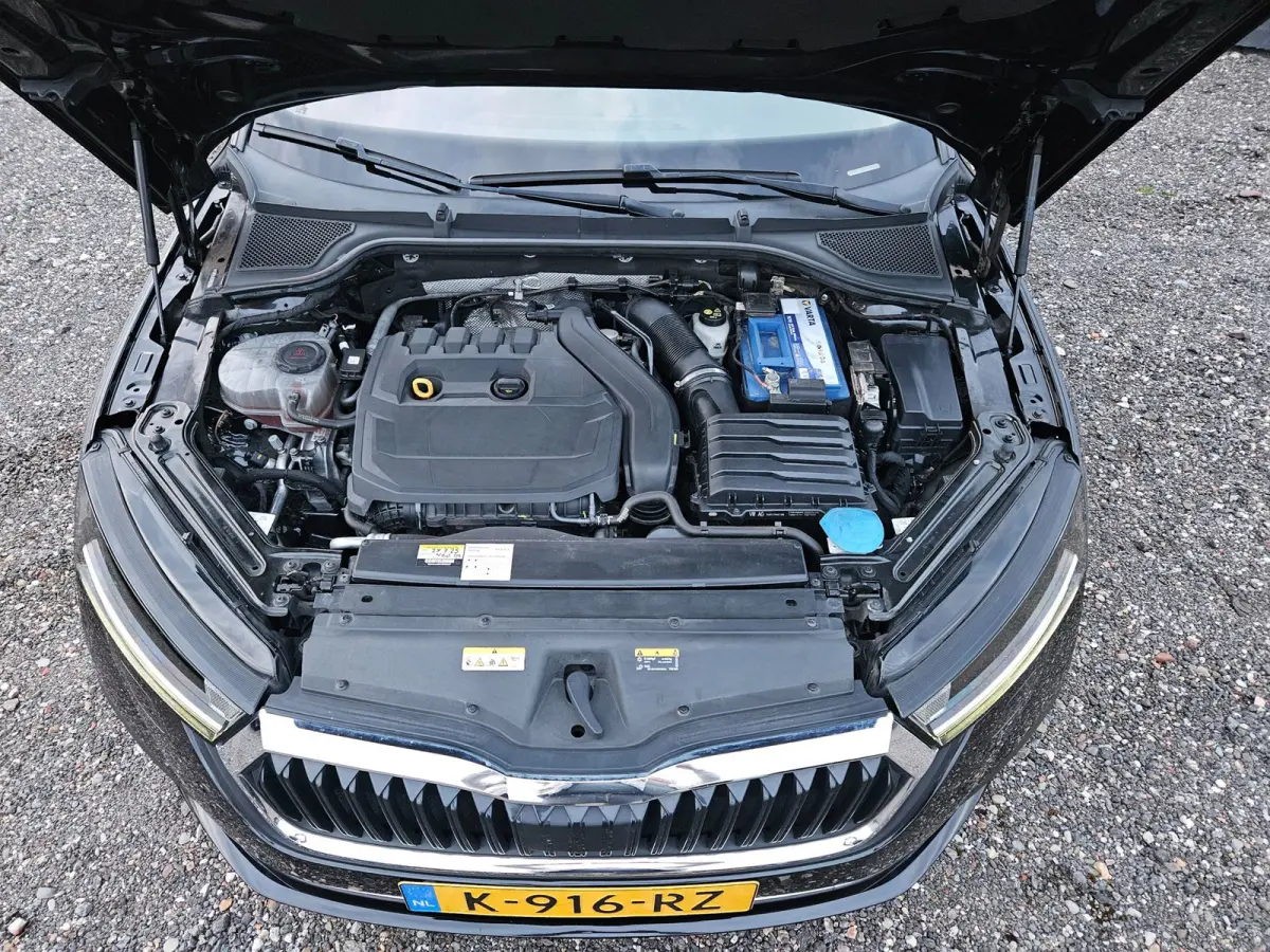 1.5 e-TSI Business Edition Plus Automaat/Virtuel/Led/Adapt.Cruise/Trekhaak/Camera/AppleCarplay/Stoelverwarming