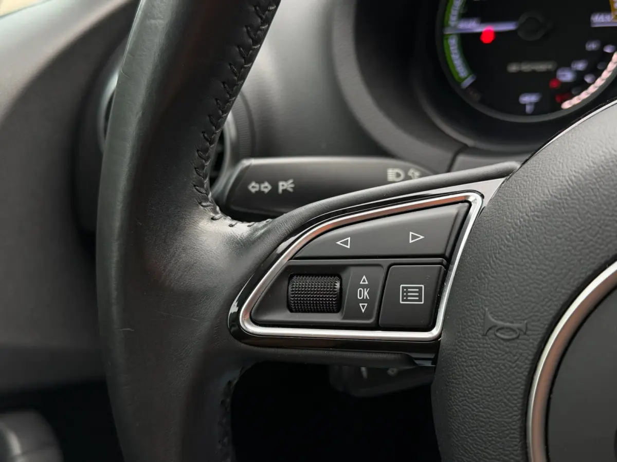 1.4 e-tron PHEV Pro Line Plus Navi LED Cruise