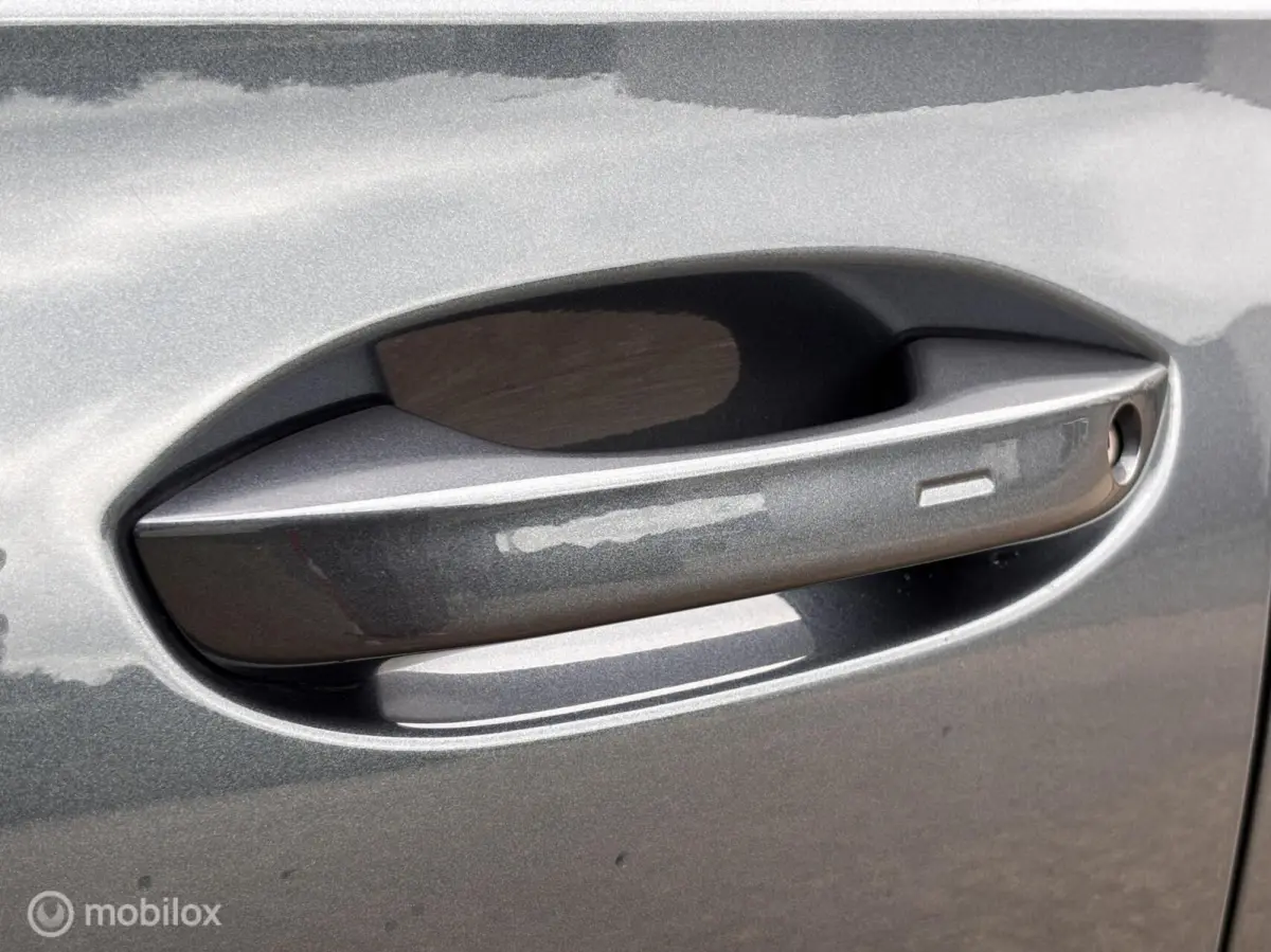 2.0 TSI 4DRIVE VZ Memory|camera|Sfeer|Keyles