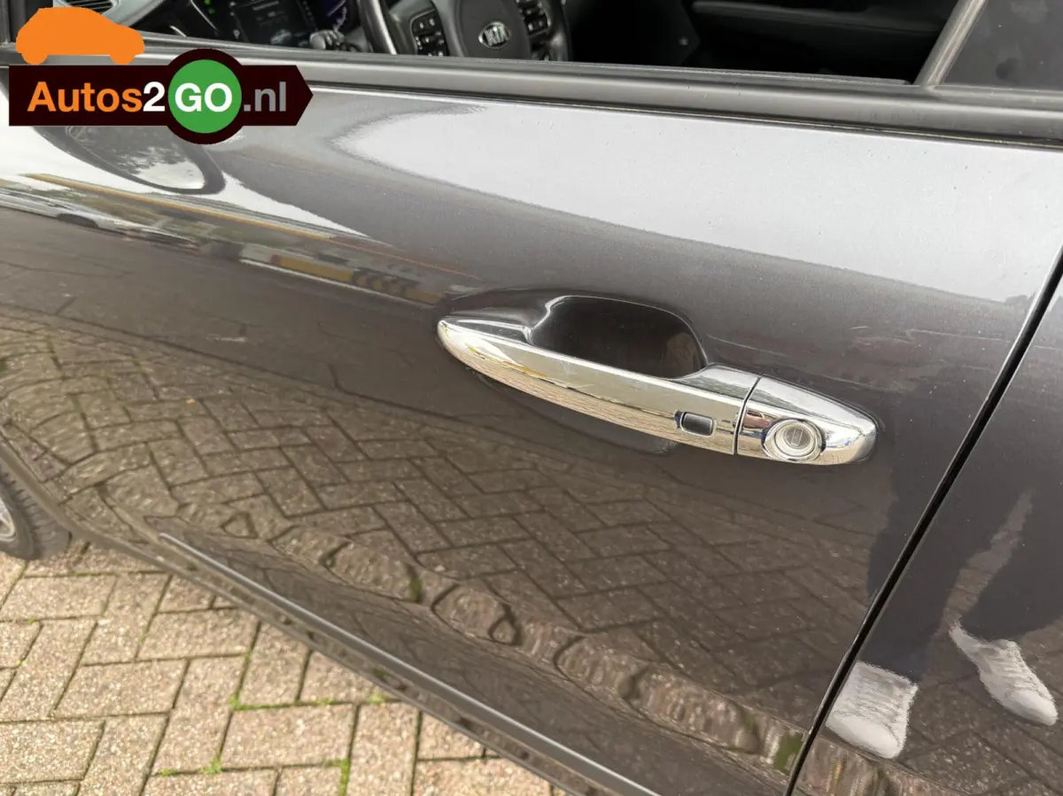 1.6 GDi Hybrid ExecutiveLine I Leder I dig cockpit I apple carplay android I opendak I stoel en stuur verw. I Camera I rijklaar I