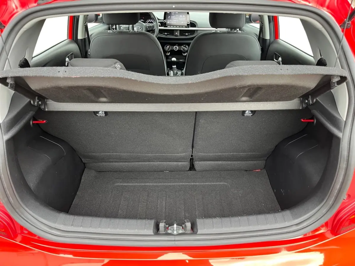 1.0 DPi DynamicLine | Parkeercamera | LM-velgen | Apple carplay/Android auto