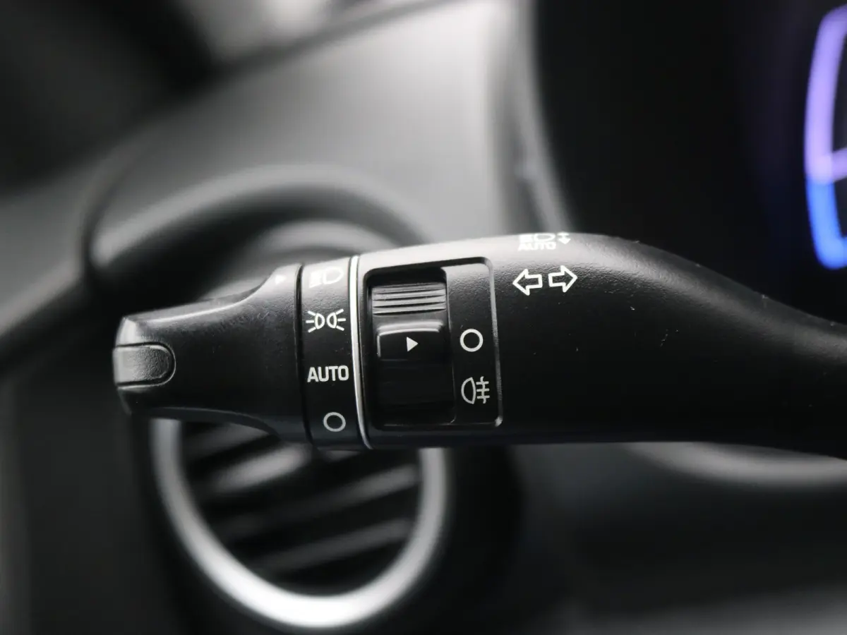 EV Premium 64 kWh / Navigatie/ Warmtepomp / 3-Fase / Lederen bekleding / SoH 99,4% / Trekhaak / Lederen bekleding / 481 km WLTP/