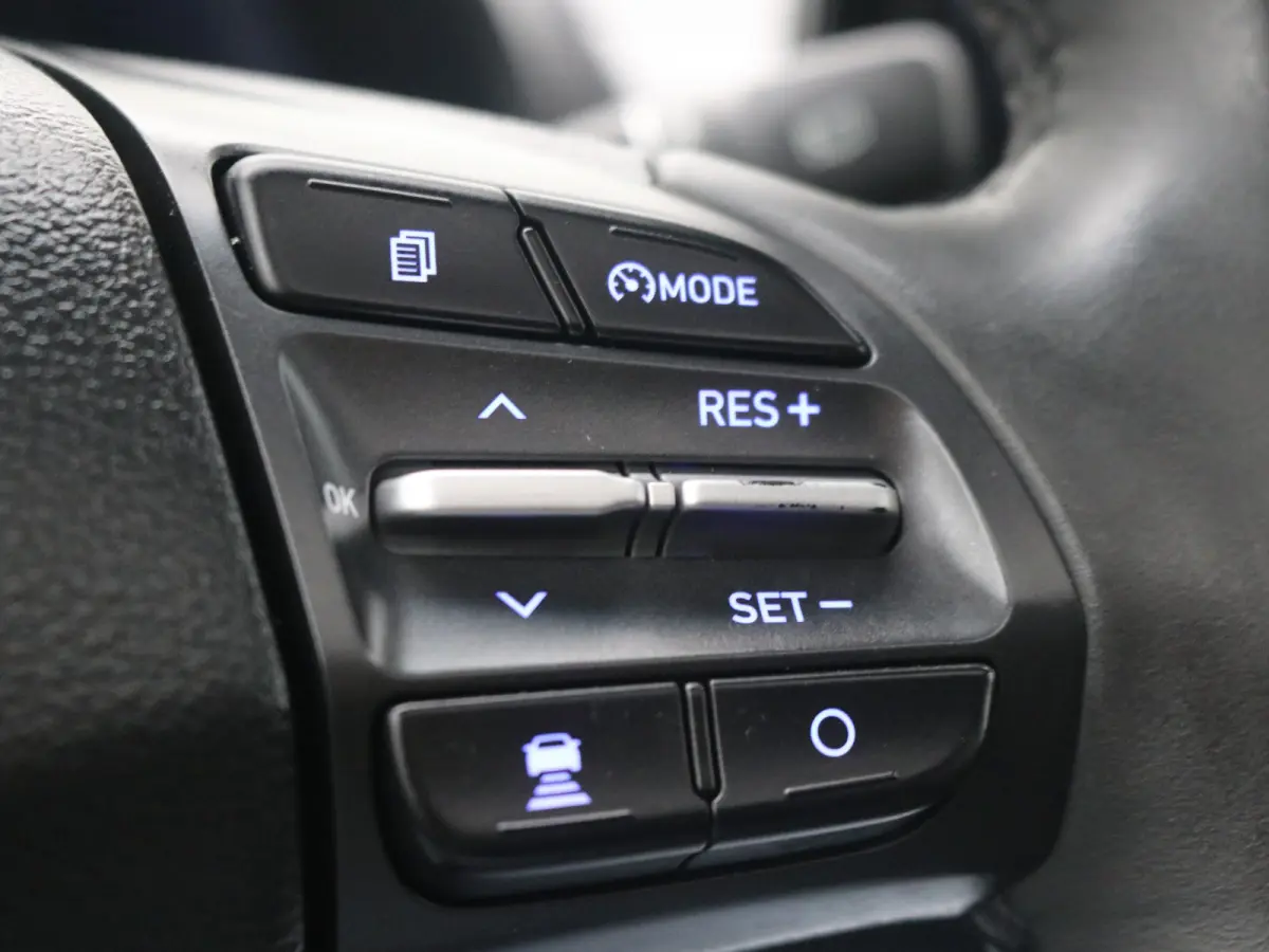 EV Premium 64 kWh / Navigatie/ Warmtepomp / 3-Fase / Lederen bekleding / SoH 99,4% / Trekhaak / Lederen bekleding / 481 km WLTP/