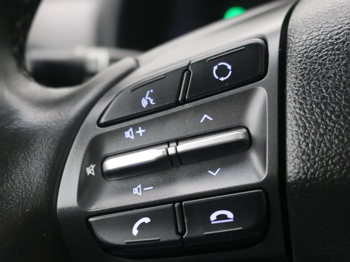 EV Premium 64 kWh / Navigatie/ Warmtepomp / 3-Fase / Lederen bekleding / SoH 99,4% / Trekhaak / Lederen bekleding / 481 km WLTP/