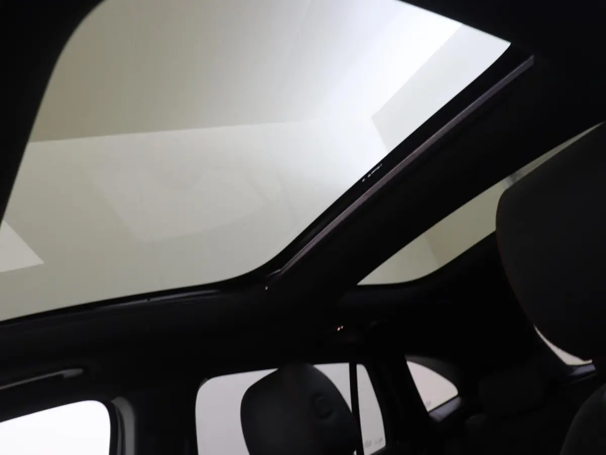 250 e AMG Line /Panoramadak /20 Inch /Elek. Trekhaak