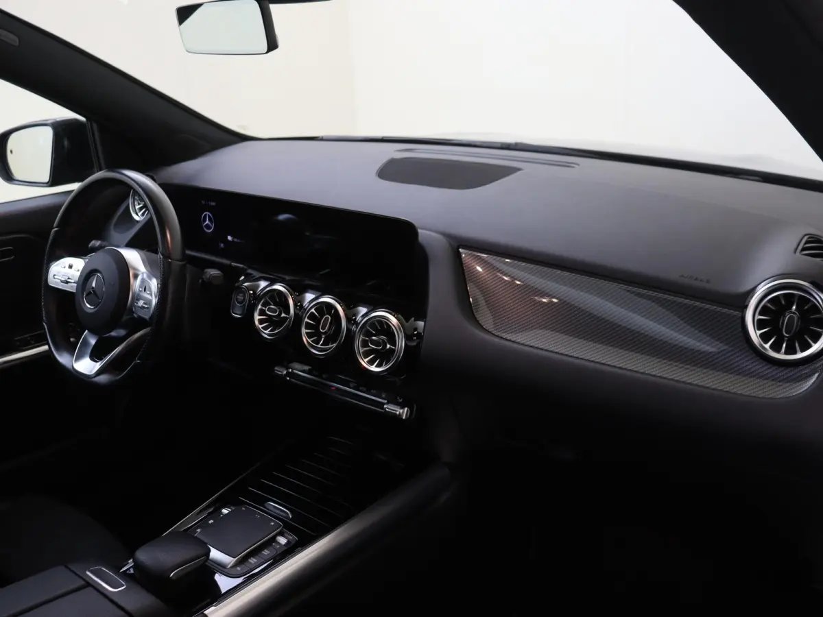 250 e AMG Line /Panoramadak /20 Inch /Elek. Trekhaak