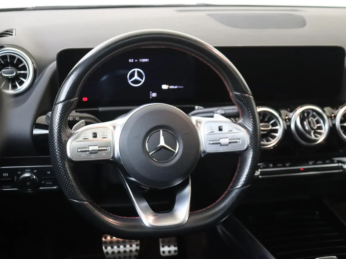 250 e AMG Line /Panoramadak /20 Inch /Elek. Trekhaak