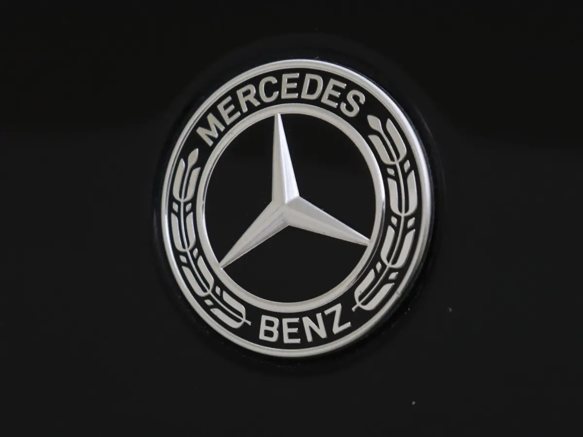 250 e AMG Line /Panoramadak /20 Inch /Elek. Trekhaak