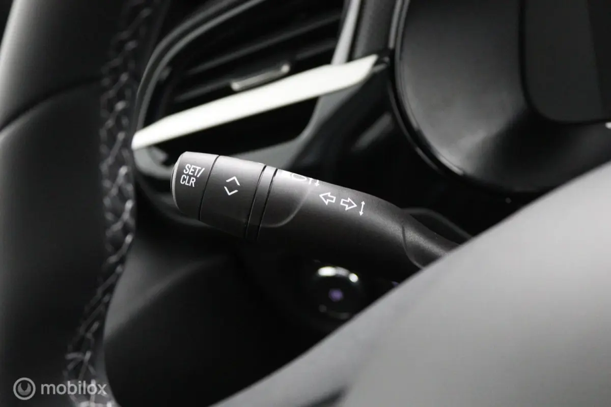 1.2 Turbo Hybrid GS | Camera | Apple CarPlay & Android Auto | DAB | Stoel-Stuurverw.