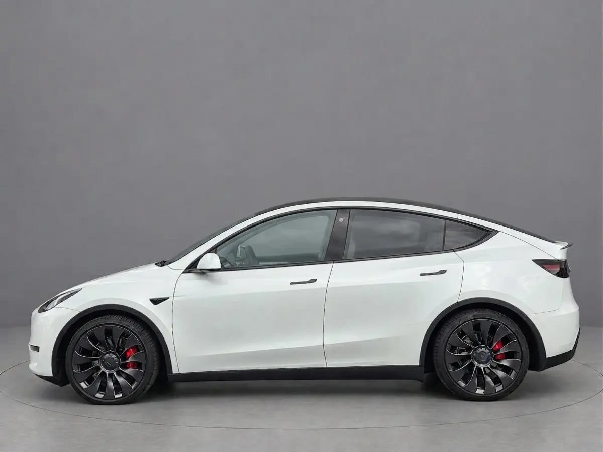 Performance AWD 75kWh | Zeer netjes