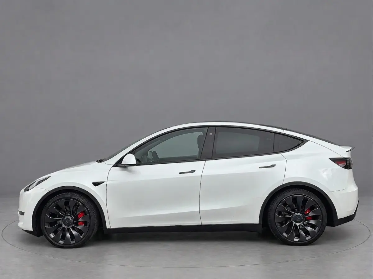 Performance AWD 75kWh | Zeer netjes