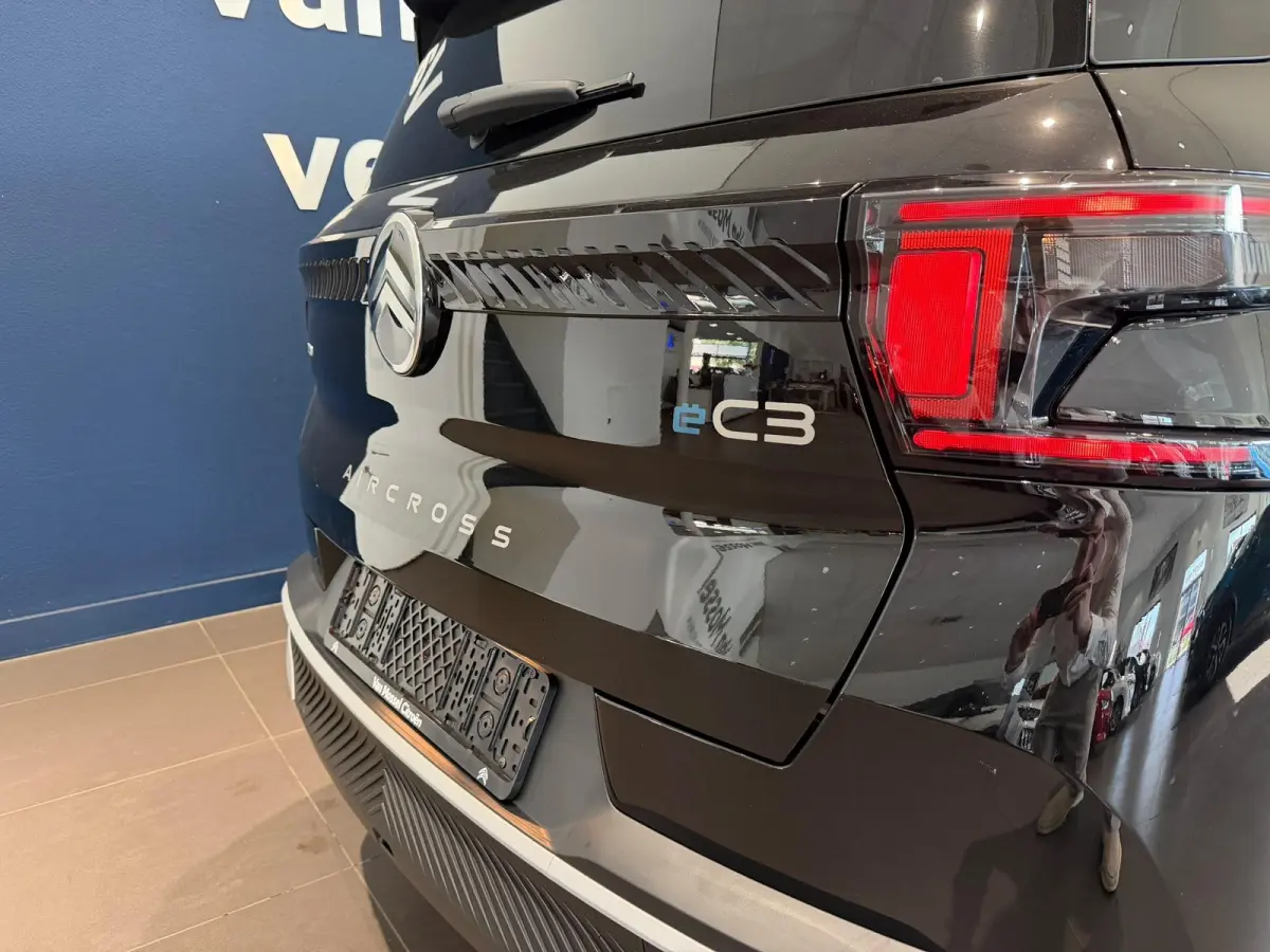 Collection 113pk Extended Range 54 kWh Direct leverbaar