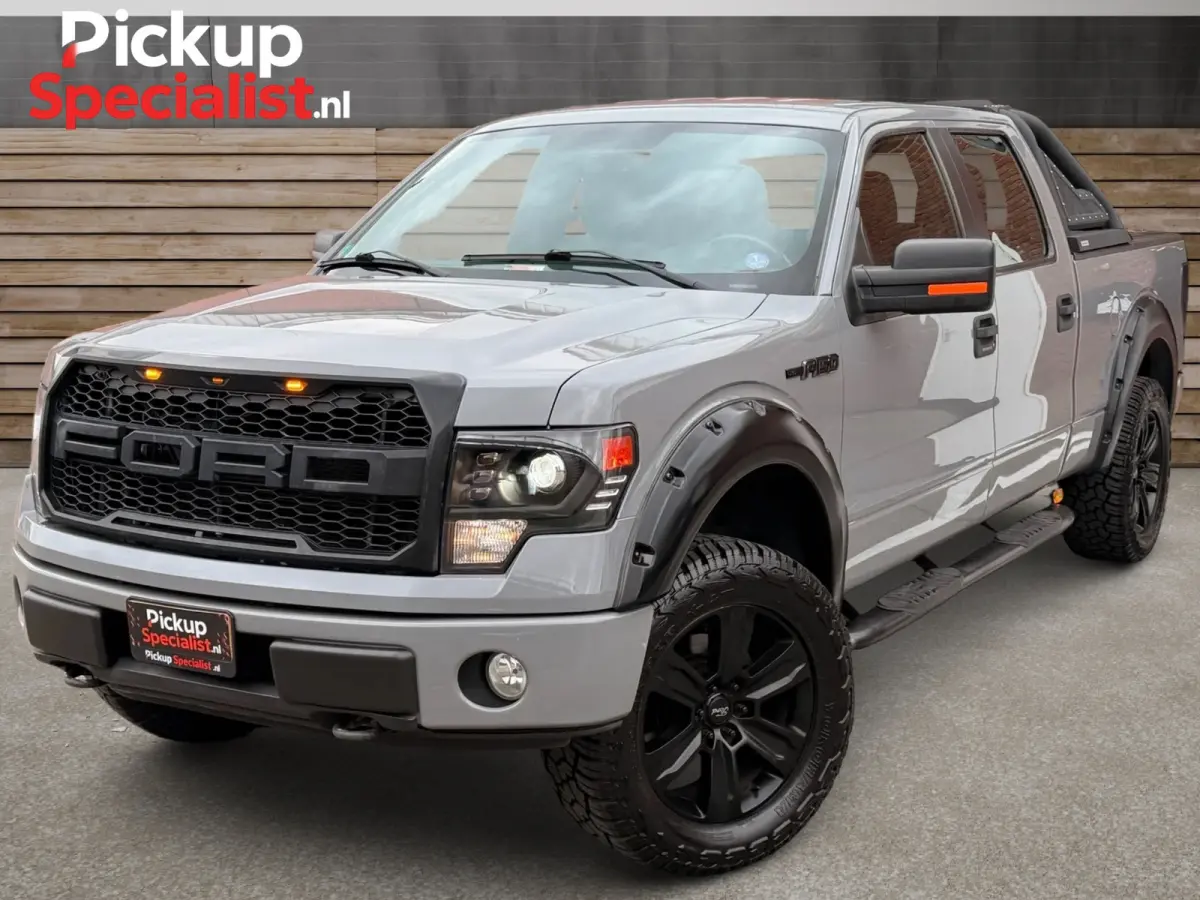 Ford F150 leasen