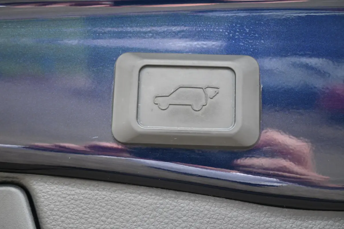 2.5 Plug-in Hybrid AWD Dynamic