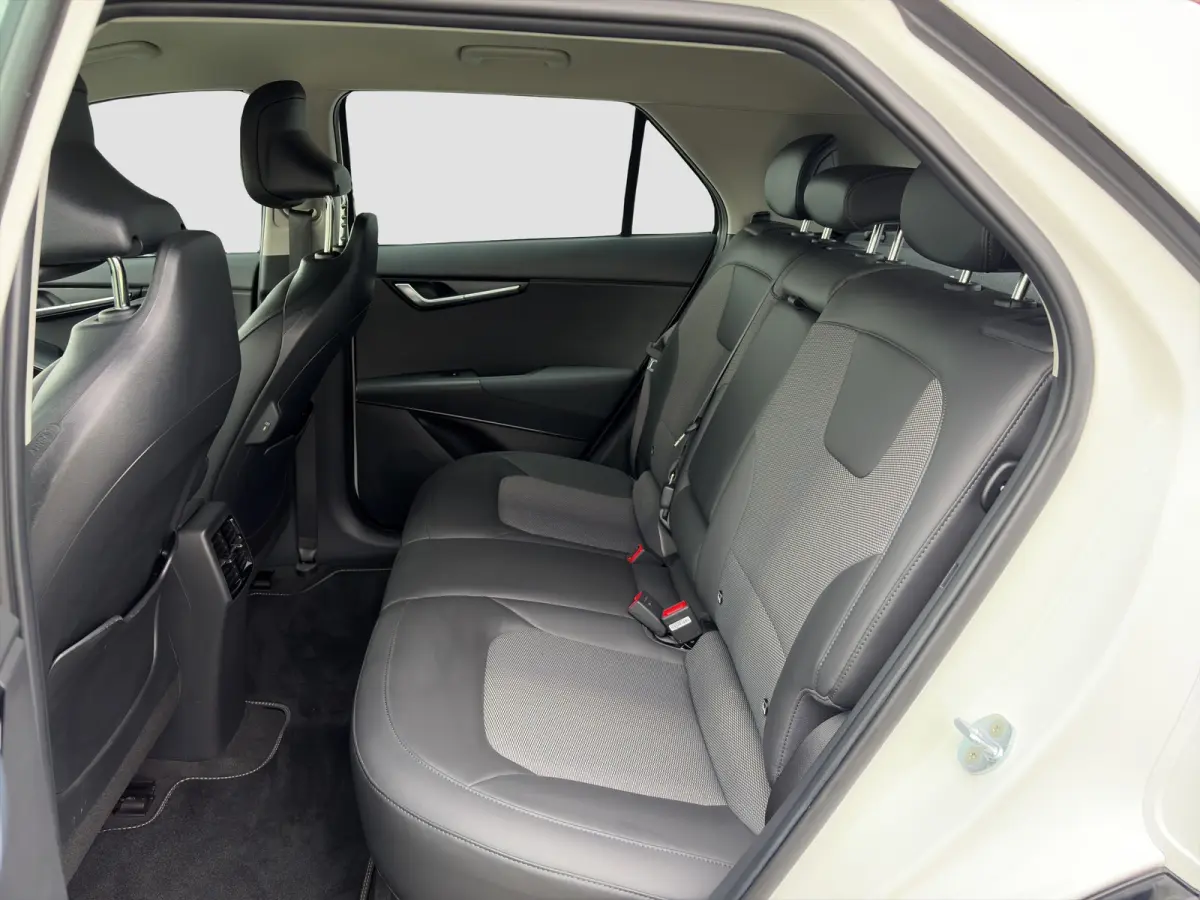 DynamicLine 64.8 kWh 204pk | SOH 100% | Carplay | Camera | Trekhaak | Halfleder | Adaptive Cruise | DAB | Navigatie | Keyless entry | Climate control | Regensensor