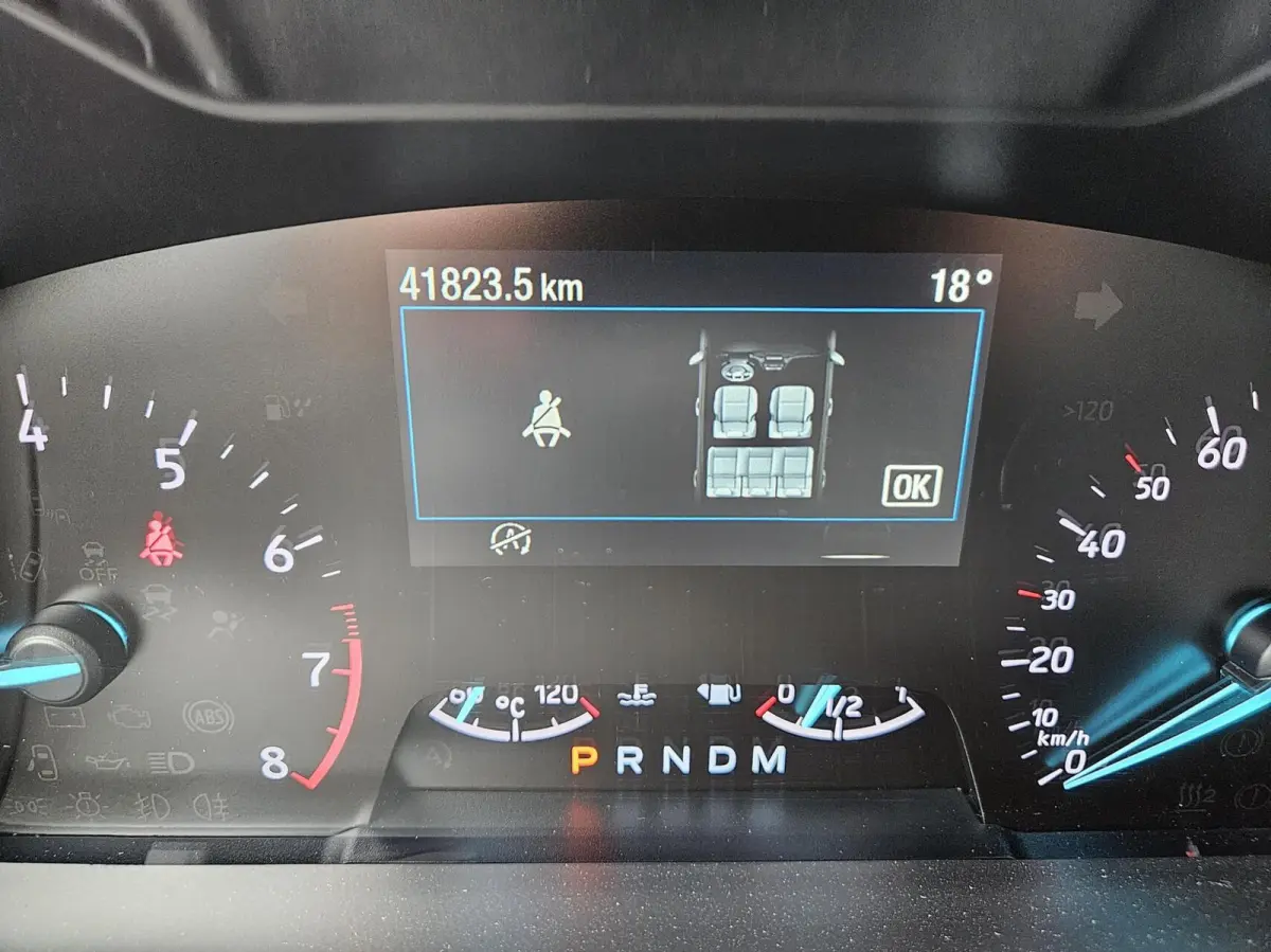 1.0 EcoBoost Hybrid ST Line X NIEUWSTAAT!