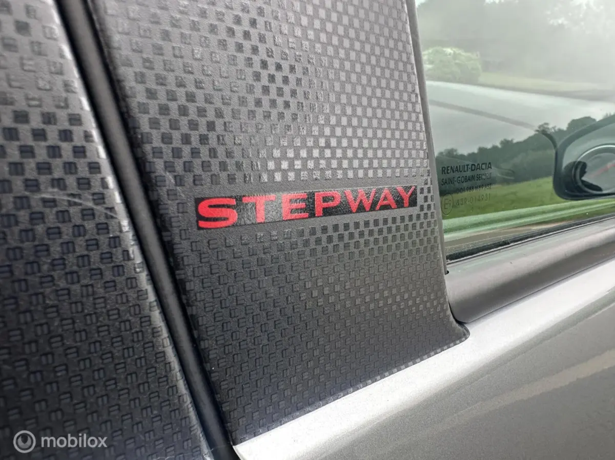 Stepway 0.9 TCe Tech Road Trekhaak Cruise✅