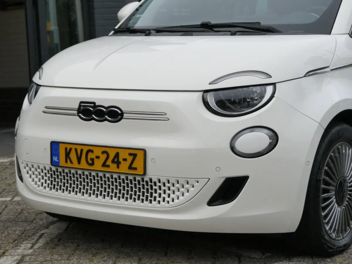 Icon 42 kWh | Winter Pack | 100% elektrisch