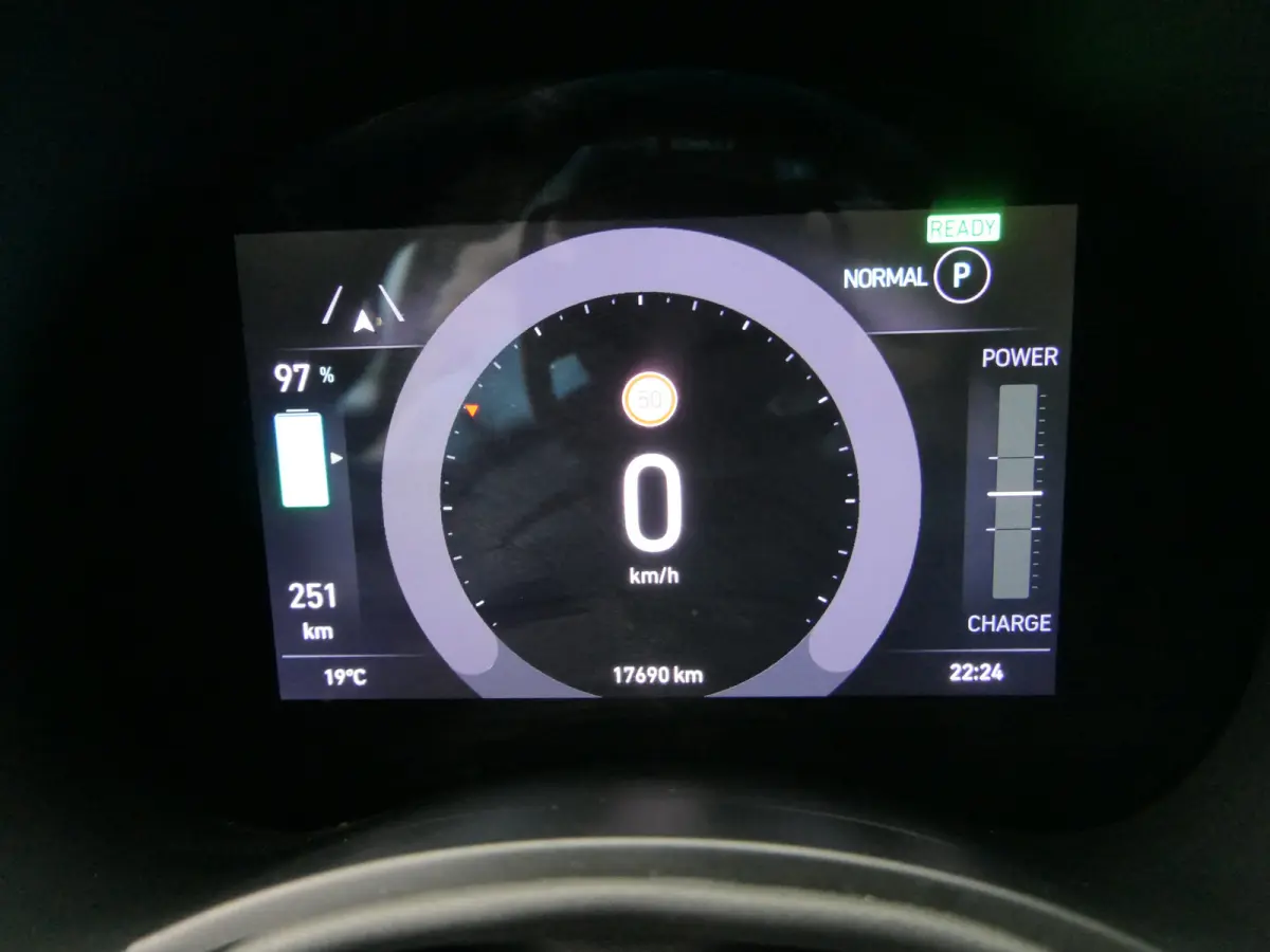 Icon 42 kWh | Winter Pack | 100% elektrisch