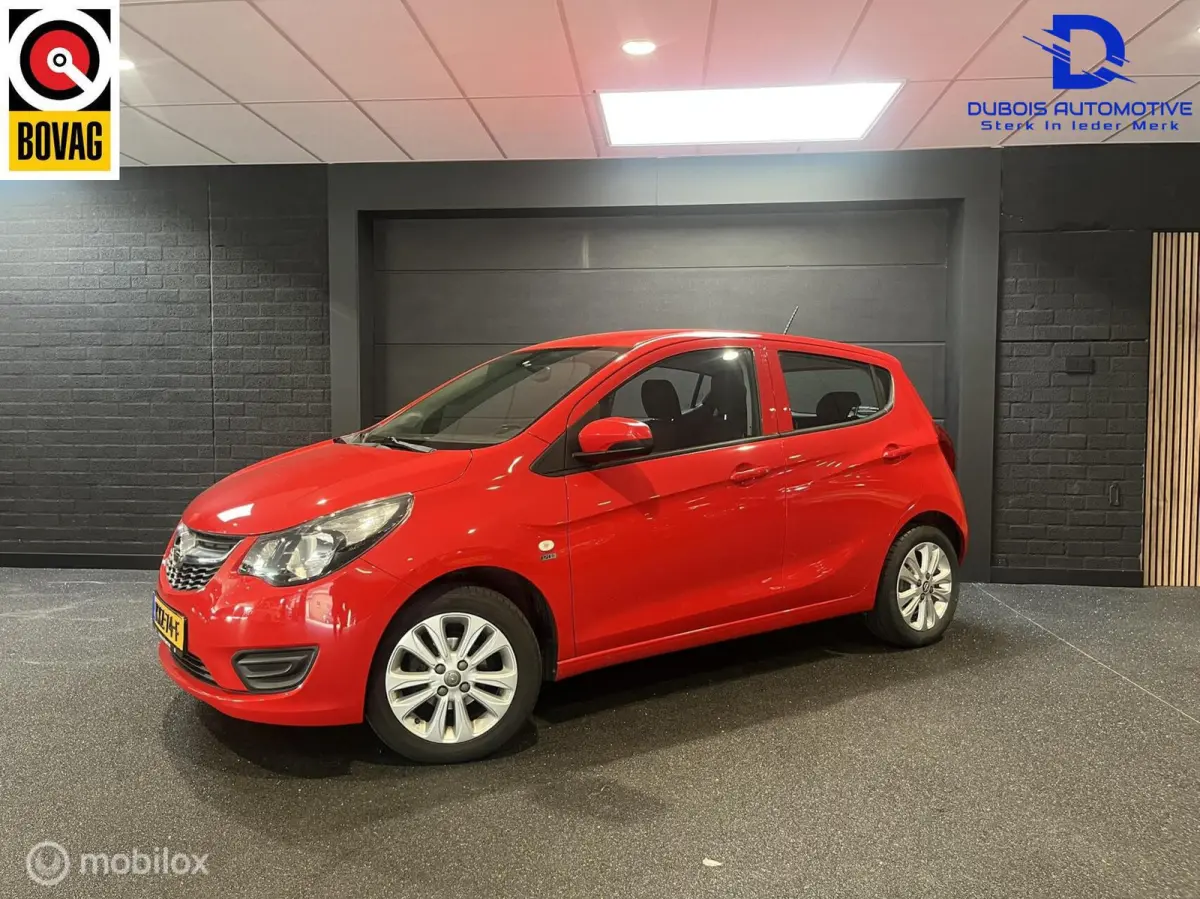 1.0 ecoFLEX 120 Jaar Edition|Airco|Cruise|1e Eig