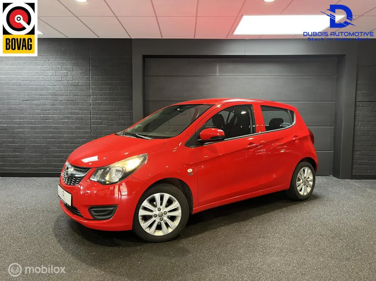 1.0 ecoFLEX 120 Jaar Edition|Airco|Cruise|1e Eig
