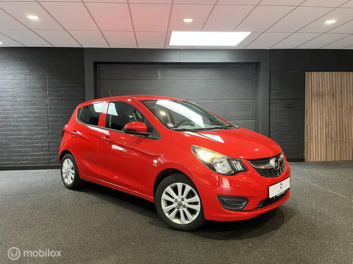 1.0 ecoFLEX 120 Jaar Edition|Airco|Cruise|1e Eig