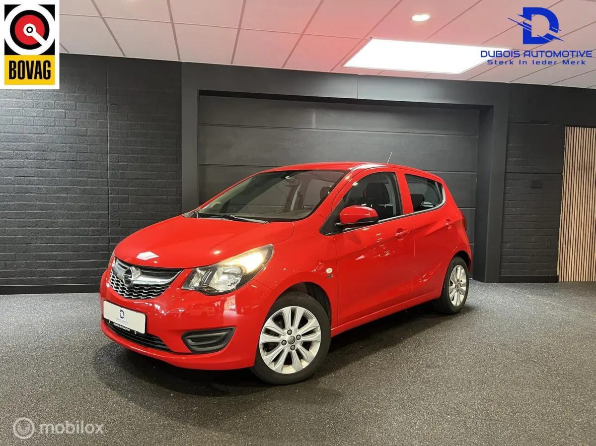 1.0 ecoFLEX 120 Jaar Edition|Airco|Cruise|1e Eig