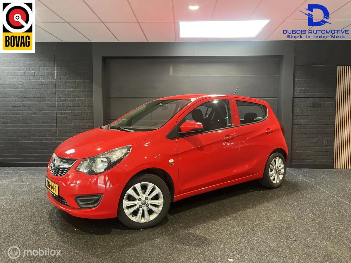 1.0 ecoFLEX 120 Jaar Edition|Airco|Cruise|1e Eig